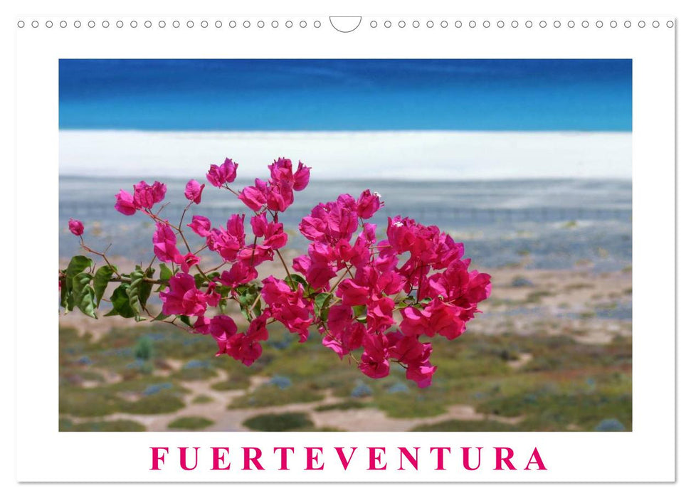 Fuerteventura (CALVENDO Wandkalender 2025)