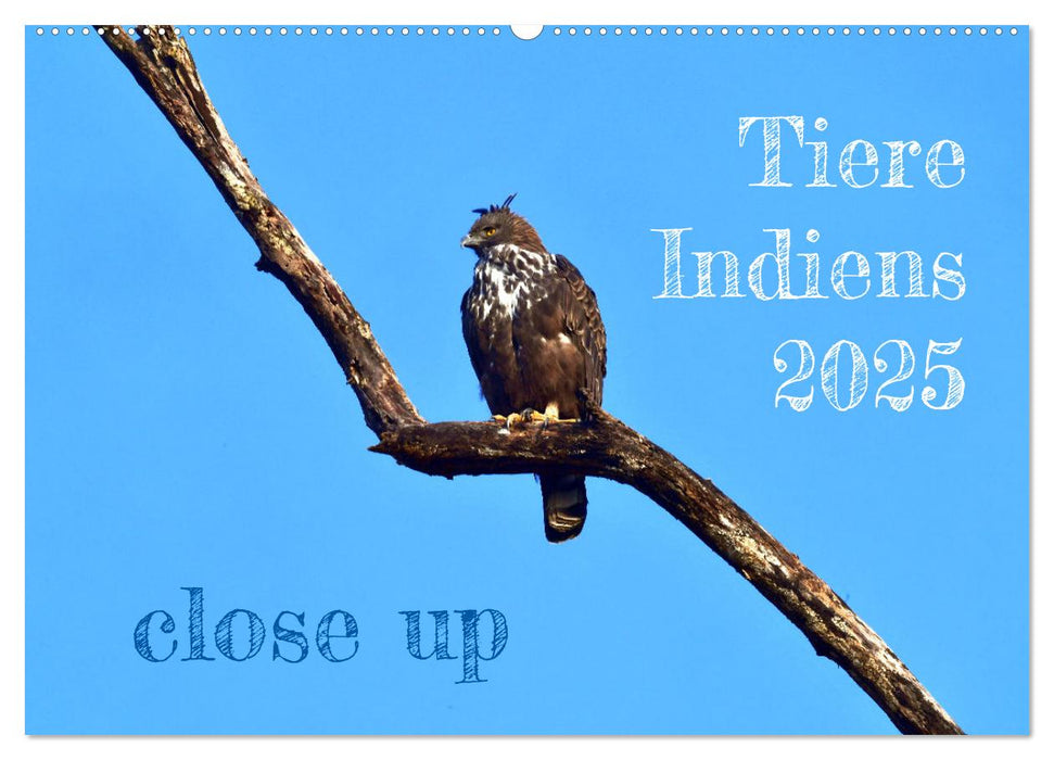 Tiere Indiens close up (CALVENDO Wandkalender 2025)