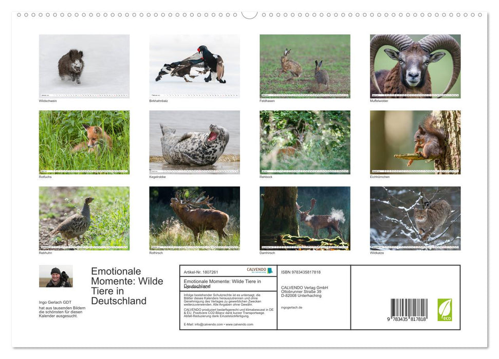 Emotionale Momente: Wilde Tiere in Deutschland (CALVENDO Premium Wandkalender 2025)