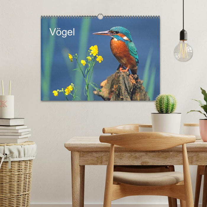 Vögel (CALVENDO Wandkalender 2025)