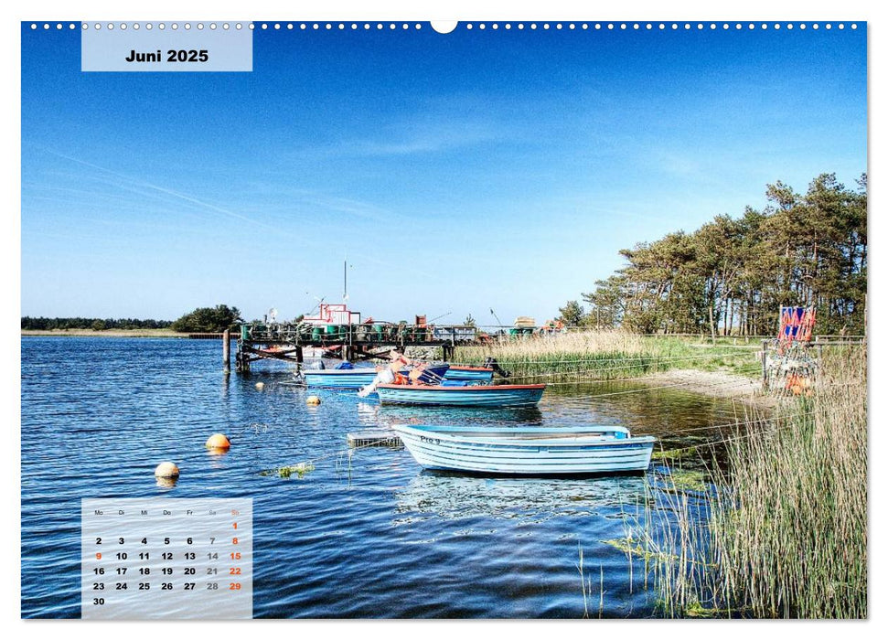 Ostseeküste 2025 (CALVENDO Wandkalender 2025)