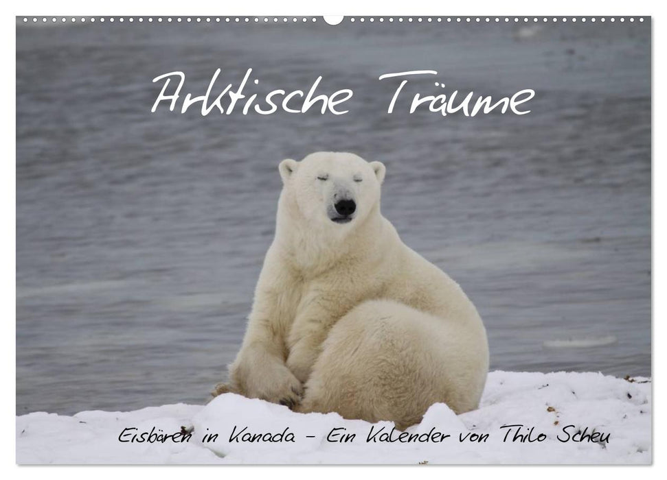 Arktische Träume - Eisbären in Kanada (CALVENDO Wandkalender 2025)