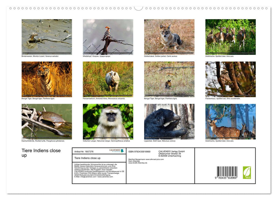 Tiere Indiens close up (CALVENDO Premium Wandkalender 2025)