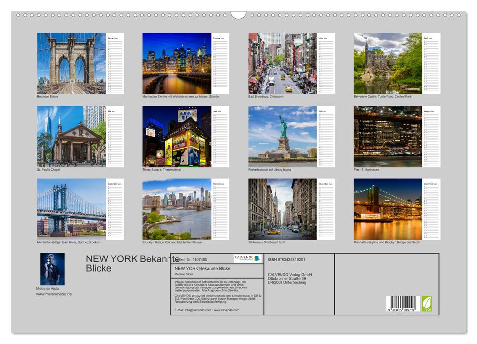 NEW YORK Bekannte Blicke (CALVENDO Wandkalender 2025)