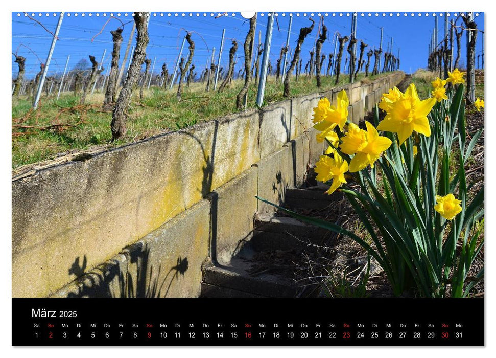 W.EINBLICK (CALVENDO Premium Wandkalender 2025)