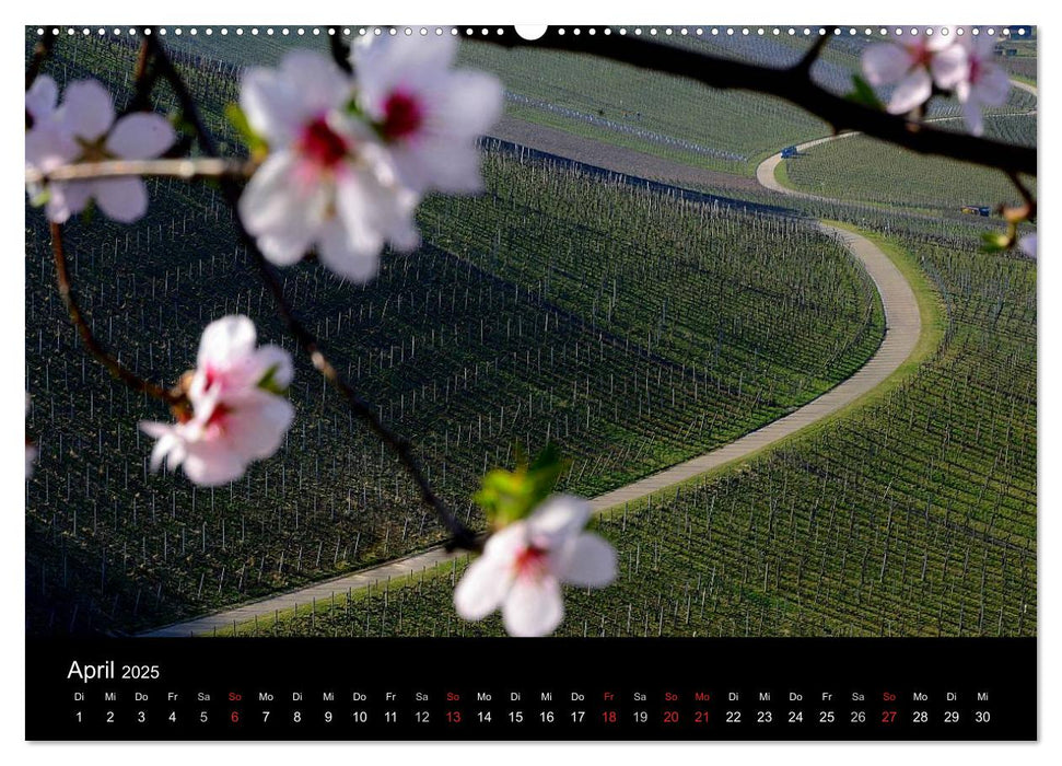 W.EINBLICK (CALVENDO Premium Wandkalender 2025)