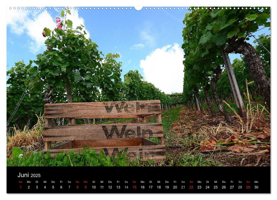 W.EINBLICK (CALVENDO Premium Wandkalender 2025)