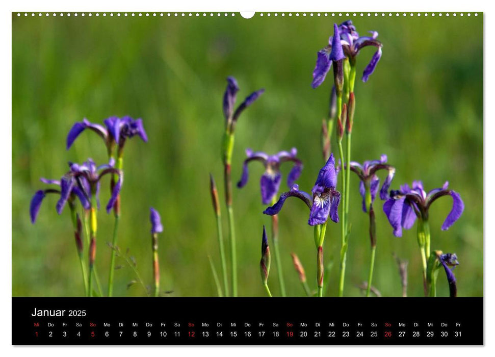 Sibirien- Impressionen von der Lena (CALVENDO Wandkalender 2025)