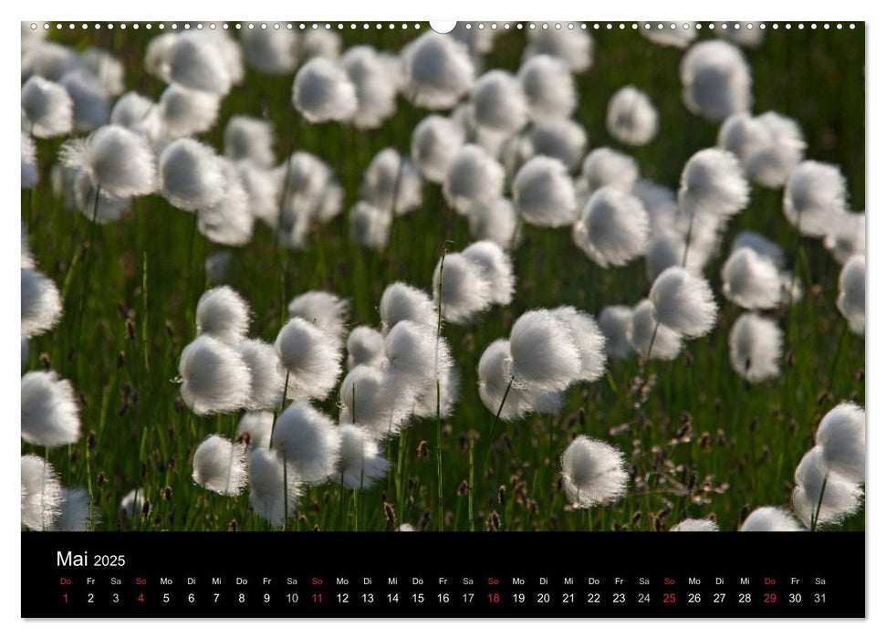 Sibirien- Impressionen von der Lena (CALVENDO Wandkalender 2025)