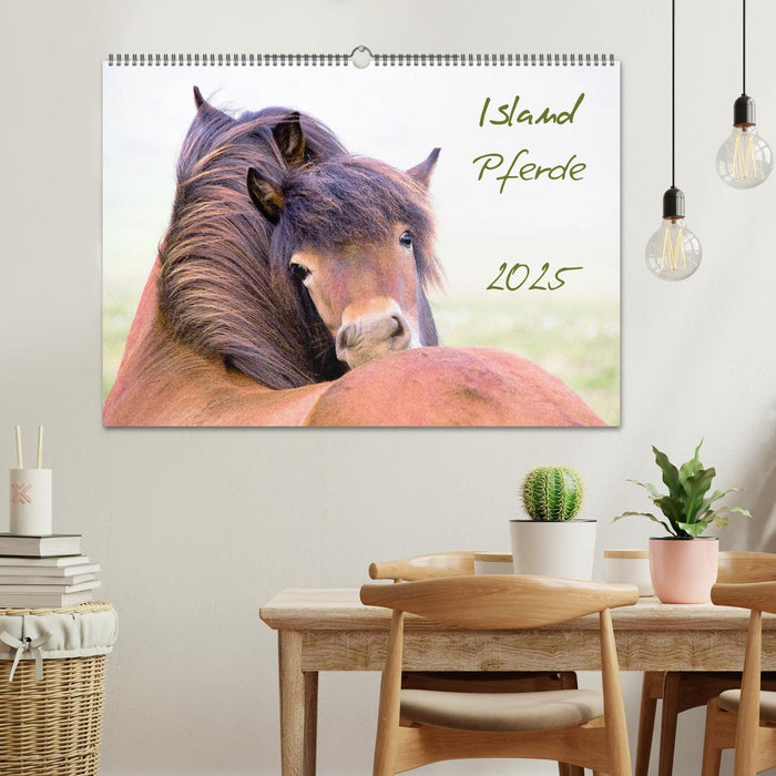 Islandpferde (CALVENDO Wandkalender 2025)