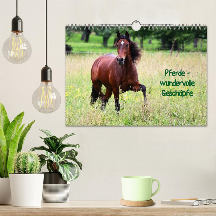 Pferde - wundervolle Geschöpfe (CALVENDO Wandkalender 2025)