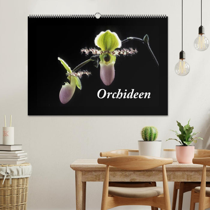 Orchideen 2025 (CALVENDO Wandkalender 2025)