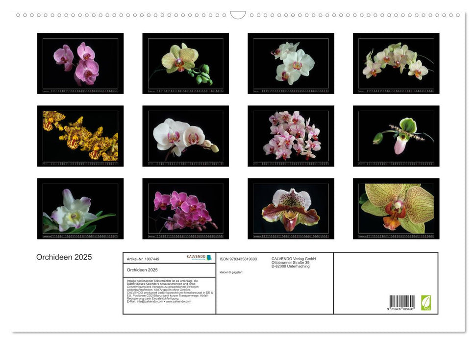 Orchideen 2025 (CALVENDO Wandkalender 2025)