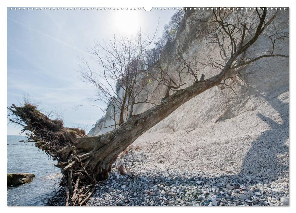 Emotionale Momente: Rügen & Kreidefelsen (CALVENDO Premium Wandkalender 2025)