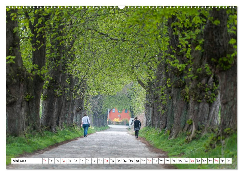 Emotionale Momente: Rügen & Kreidefelsen (CALVENDO Premium Wandkalender 2025)