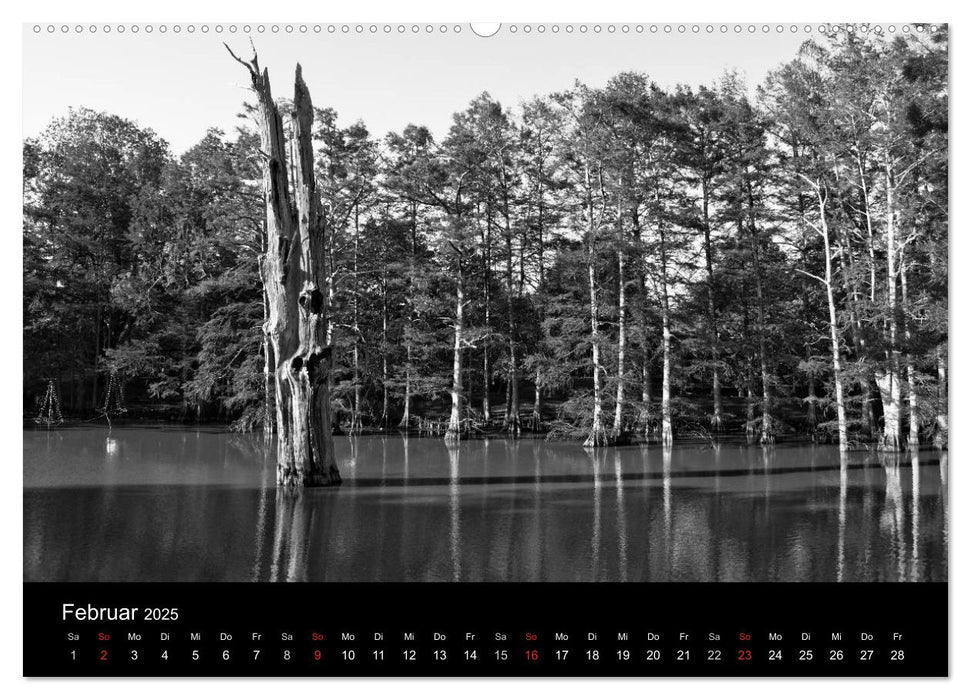 Mississippi, Land of the Blues (CALVENDO Wandkalender 2025)