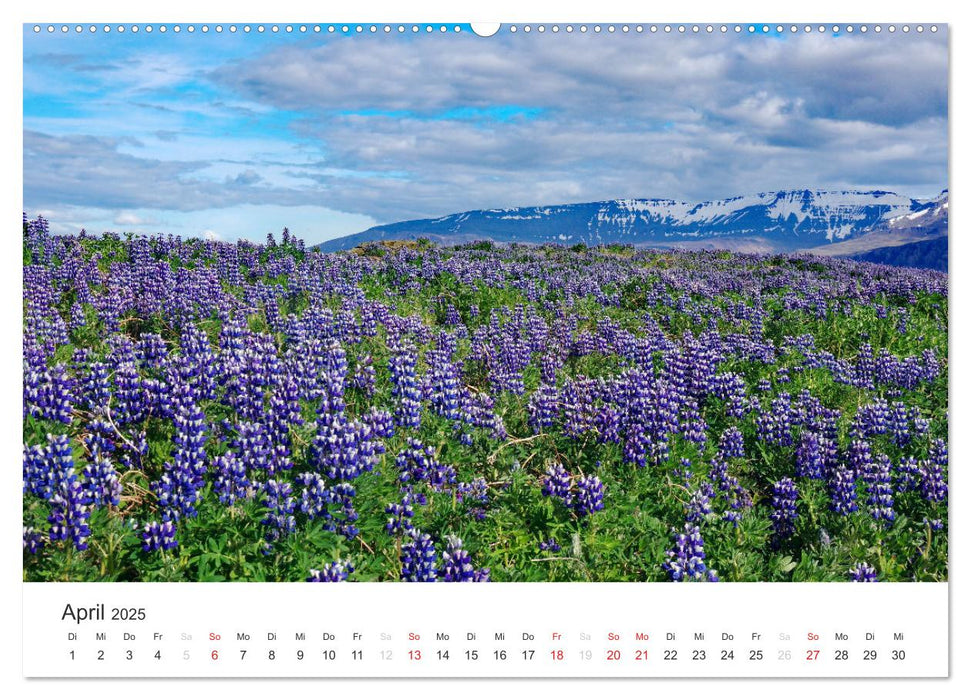 Island - Zauber des Nordens (CALVENDO Premium Wandkalender 2025)