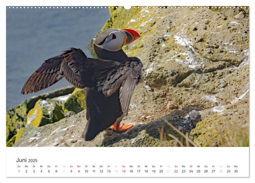 Island - Zauber des Nordens (CALVENDO Premium Wandkalender 2025)