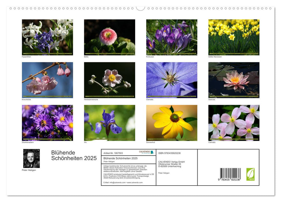 Blühende Schönheiten 2025 (CALVENDO Premium Wandkalender 2025)