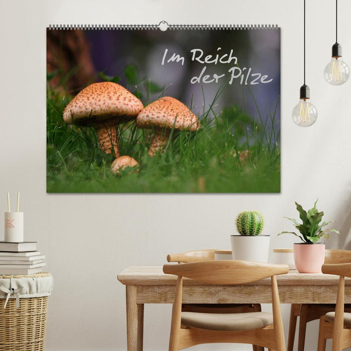 Im Reich der Pilze (CALVENDO Wandkalender 2025)
