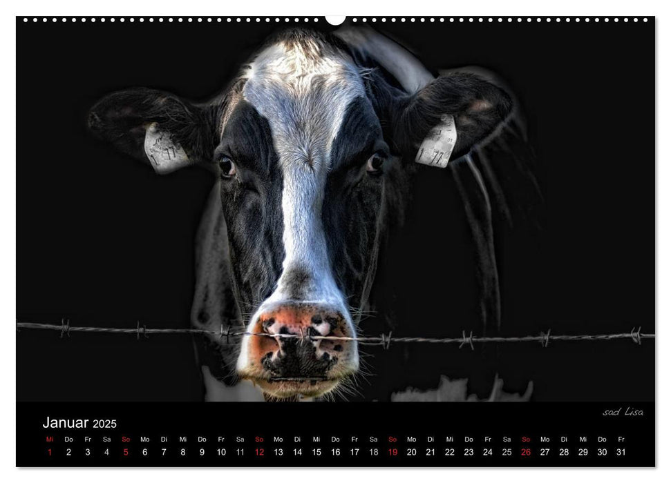 Tierisches (CALVENDO Premium Wandkalender 2025)