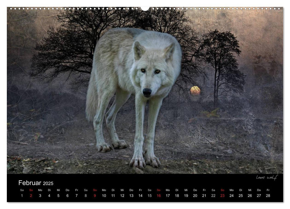 Tierisches (CALVENDO Premium Wandkalender 2025)