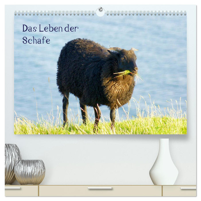 Das Leben der Schafe (CALVENDO Premium Wandkalender 2025)
