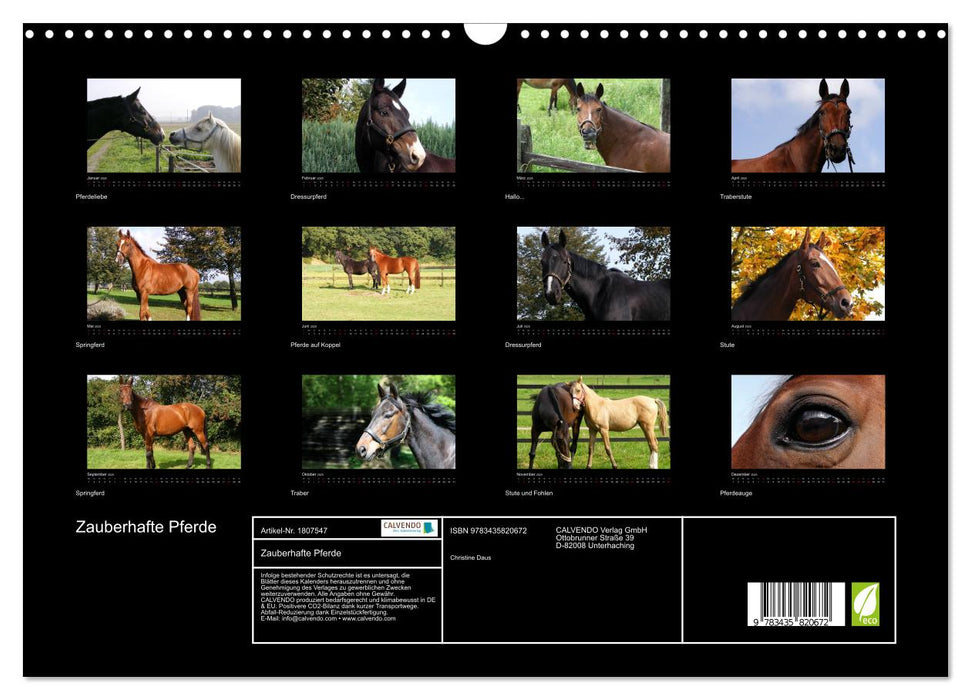 Zauberhafte Pferde (CALVENDO Wandkalender 2025)