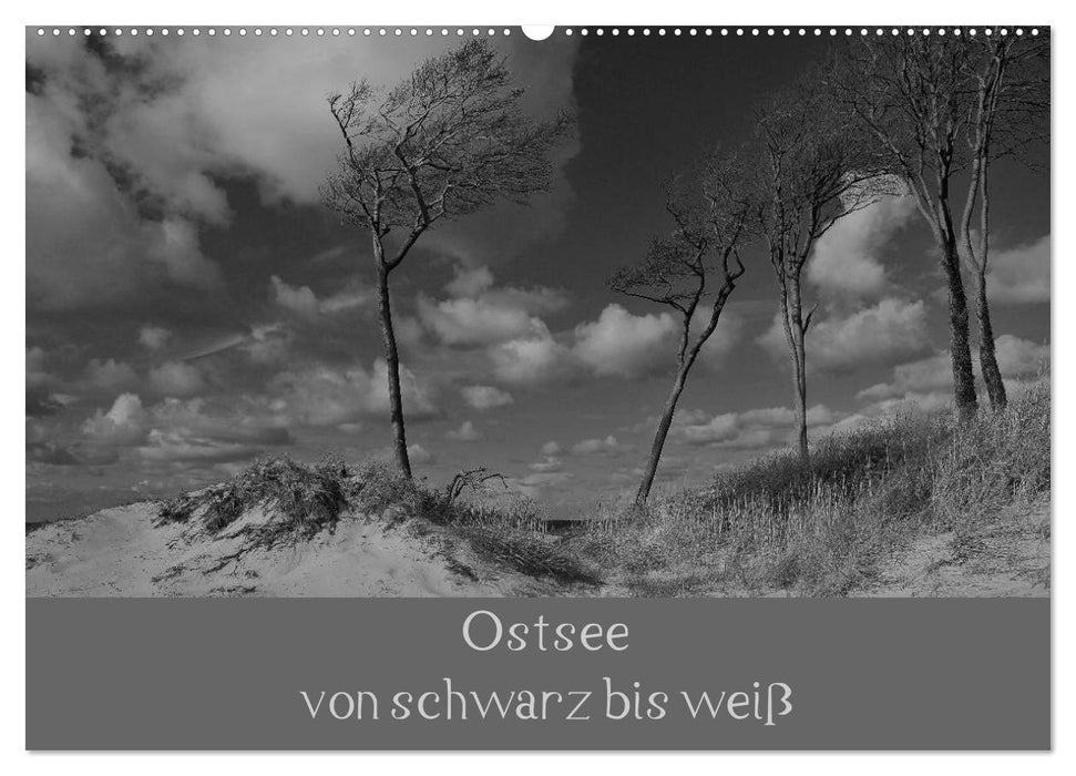 Ostsee - von schwarz bis weiß (CALVENDO Wandkalender 2025)