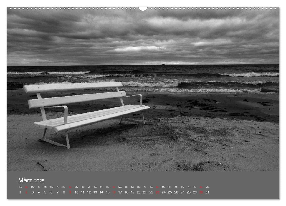 Ostsee - von schwarz bis weiß (CALVENDO Wandkalender 2025)