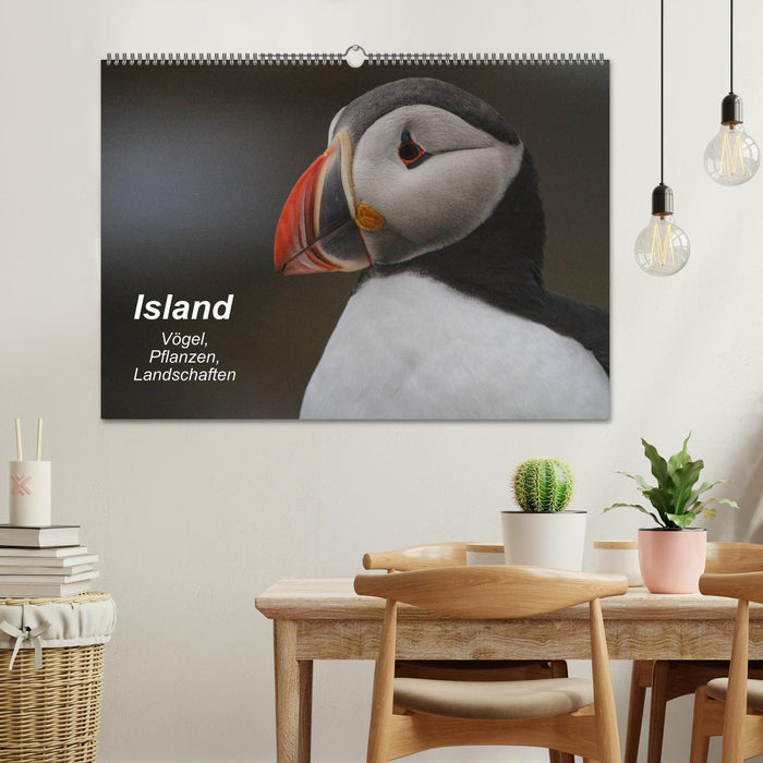 Island: Vögel, Pflanzen, Landschaften (CALVENDO Wandkalender 2025)