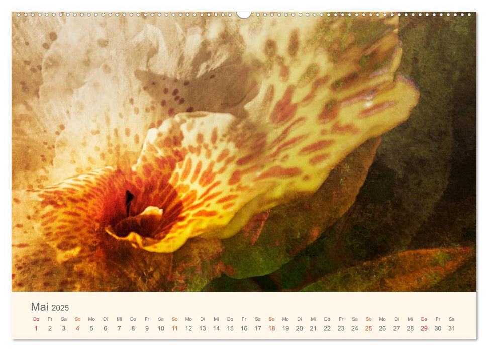 Silent World (CALVENDO Wandkalender 2025)