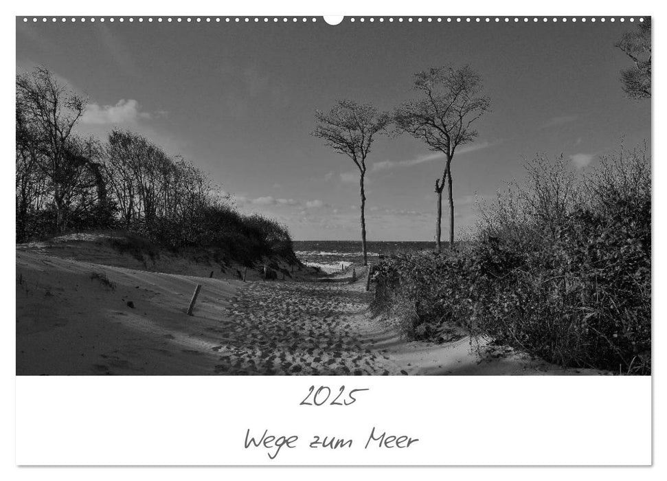 Wege zum Meer (CALVENDO Wandkalender 2025)