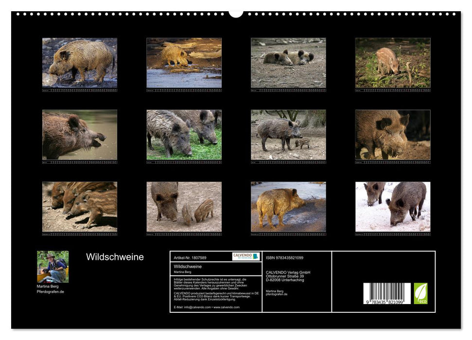 Wildschweine (CALVENDO Premium Wandkalender 2025)