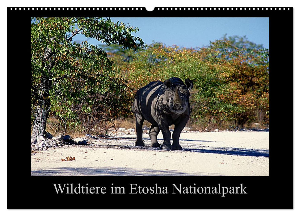 Wildtiere im Etosha Nationalpark (CALVENDO Wandkalender 2025)