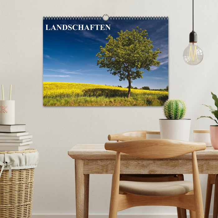 Landschaften (CALVENDO Wandkalender 2025)