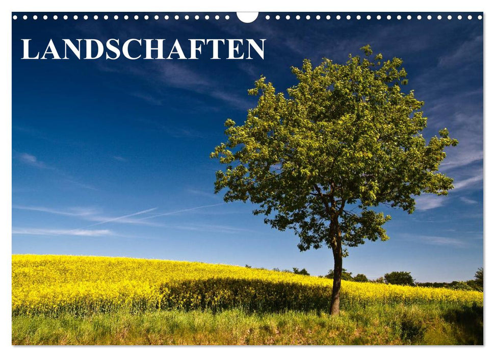 Landschaften (CALVENDO Wandkalender 2025)