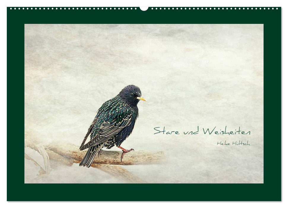 Stare und Weisheiten (CALVENDO Wandkalender 2025)