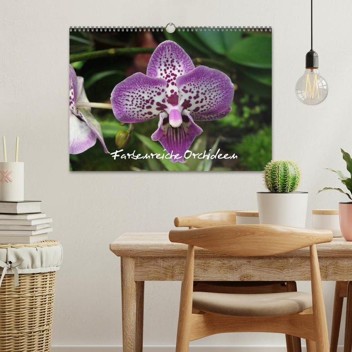 Farbenreiche Orchideen (CALVENDO Wandkalender 2025)