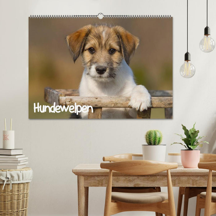 Hundewelpen (CALVENDO Wandkalender 2025)