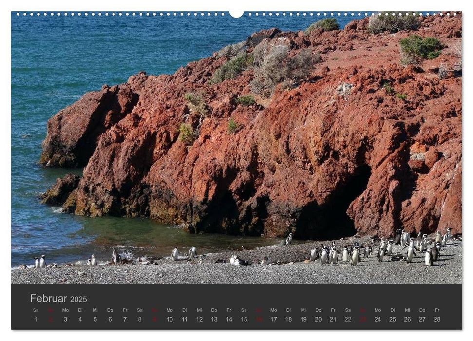 Von Iguazú bis Ushuaia - vom Regenwald bis Feuerland (CALVENDO Wandkalender 2025)