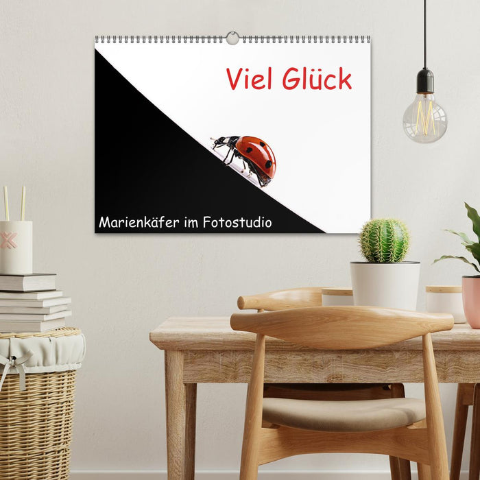 Viel Glück - Marienkäfer im Fotostudio (CALVENDO Wandkalender 2025)