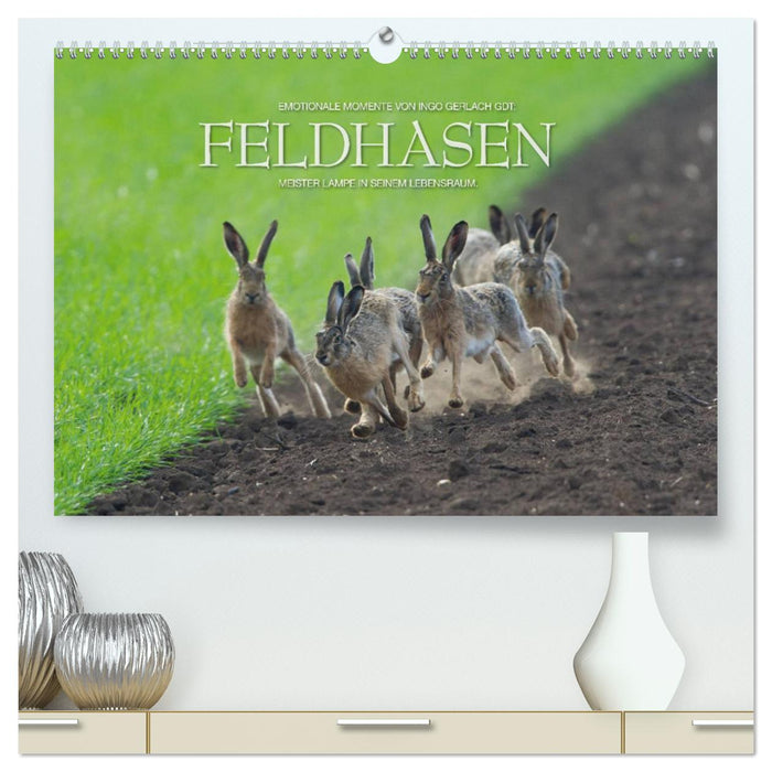 Emotionale Momente: Feldhasen (CALVENDO Premium Wandkalender 2025)