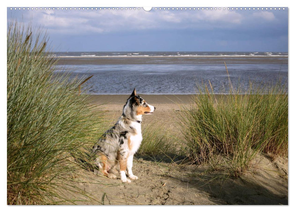 Ouddorp - Nordseeperle (CALVENDO Premium Wandkalender 2025)