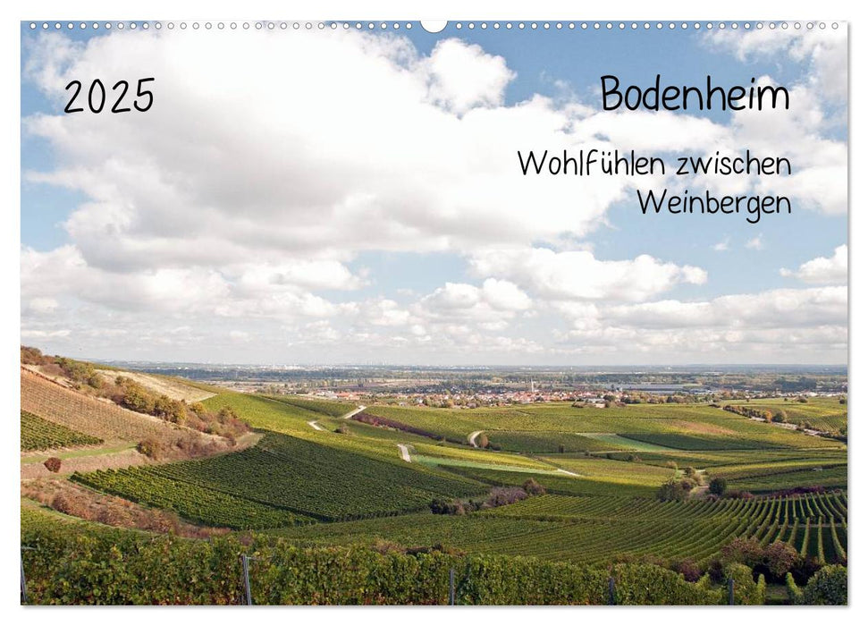 Bodenheim - Wohlfühlen zwischen Weinbergen (CALVENDO Wandkalender 2025)