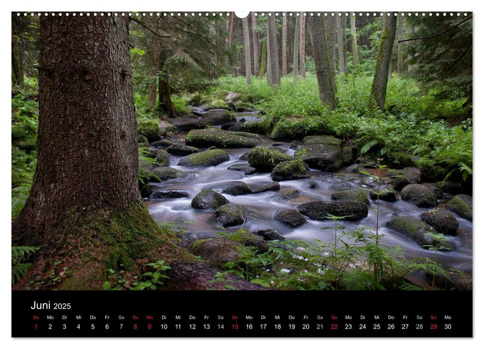 Märchenkulissen - Landschaften der Oberpfalz (CALVENDO Premium Wandkalender 2025)