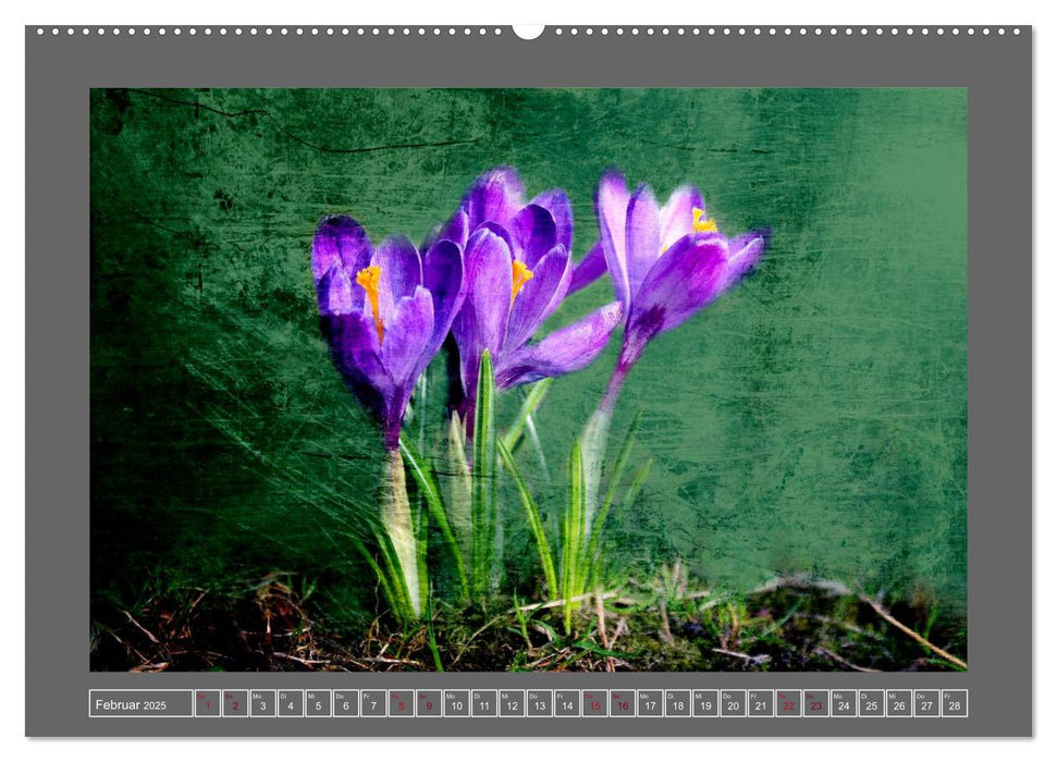 Blumen für dich (CALVENDO Premium Wandkalender 2025)