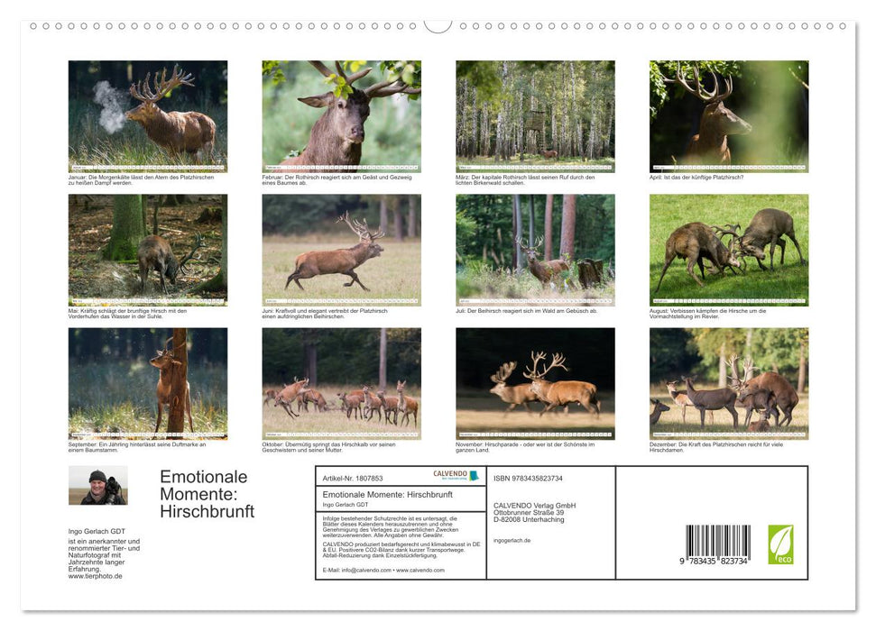 Emotionale Momente: Hirschbrunft (CALVENDO Premium Wandkalender 2025)