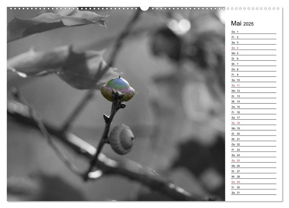 Schwarz-Weiß Malereien Terminkalender von Tanja Riedel für die Schweiz (CALVENDO Wandkalender 2025)
