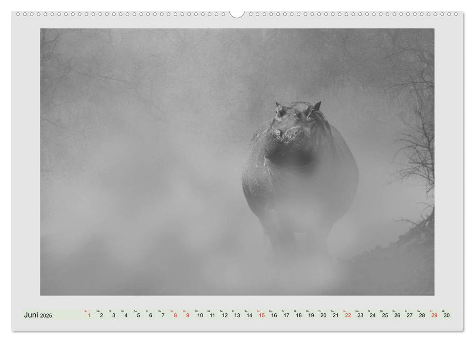 Afrikas Tierwelt lebt - schwarz auf weiß (CALVENDO Wandkalender 2025)